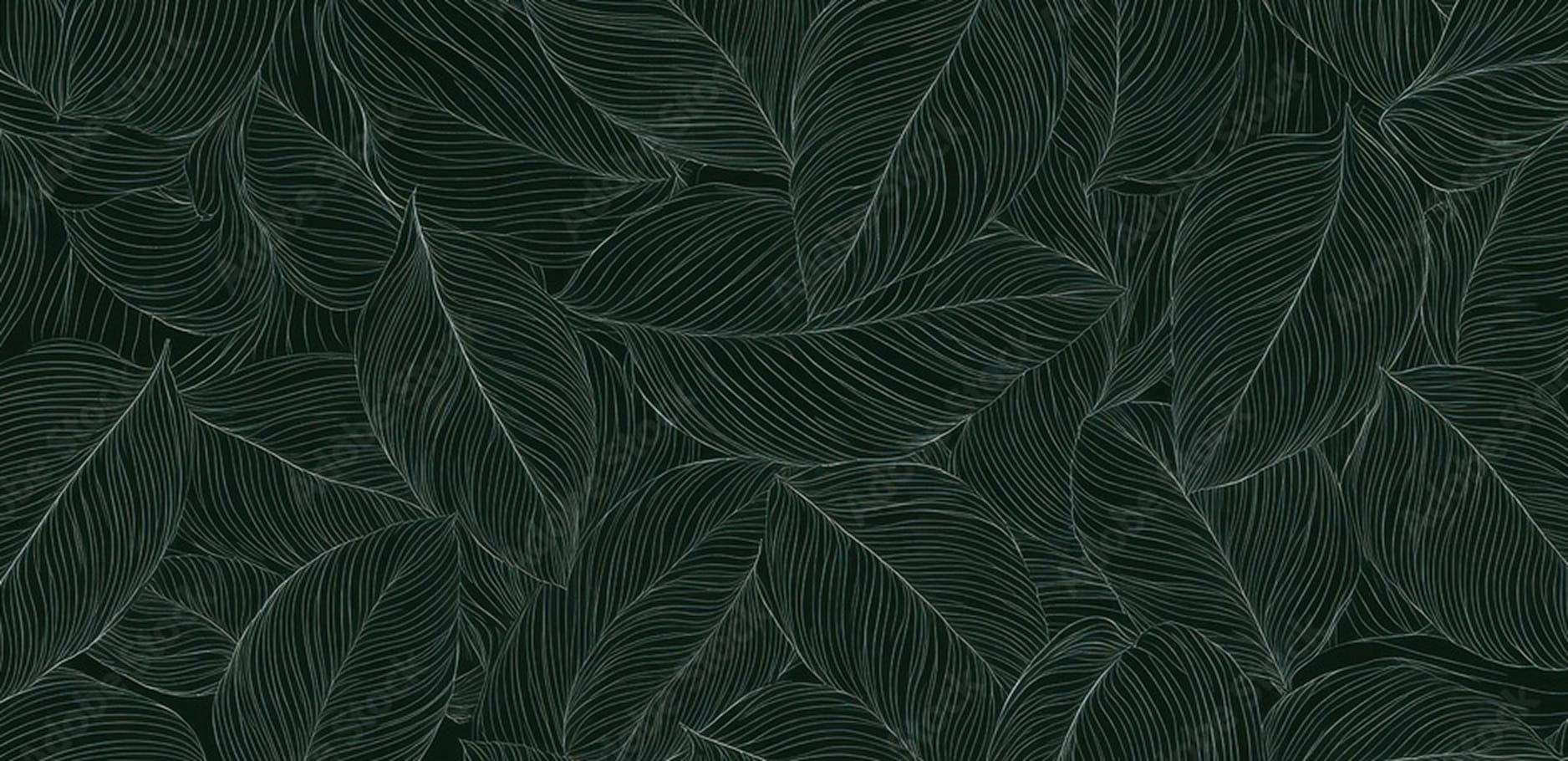 Dark green background with a pattern of outlined leaves, featuring thin white lines to create overlapping, stylized leaf shapes.