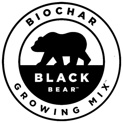 Black Bear®