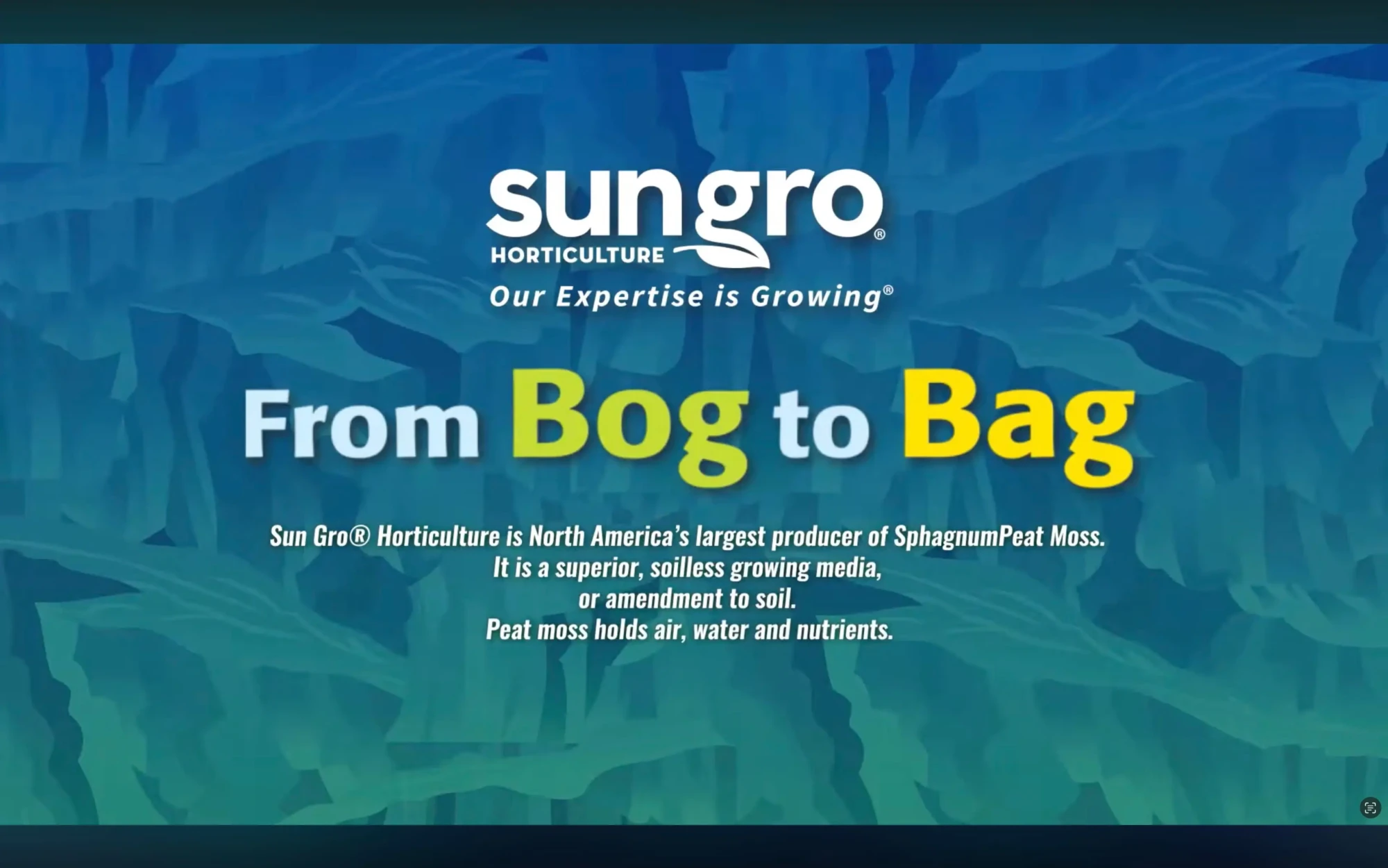 company-intro-video