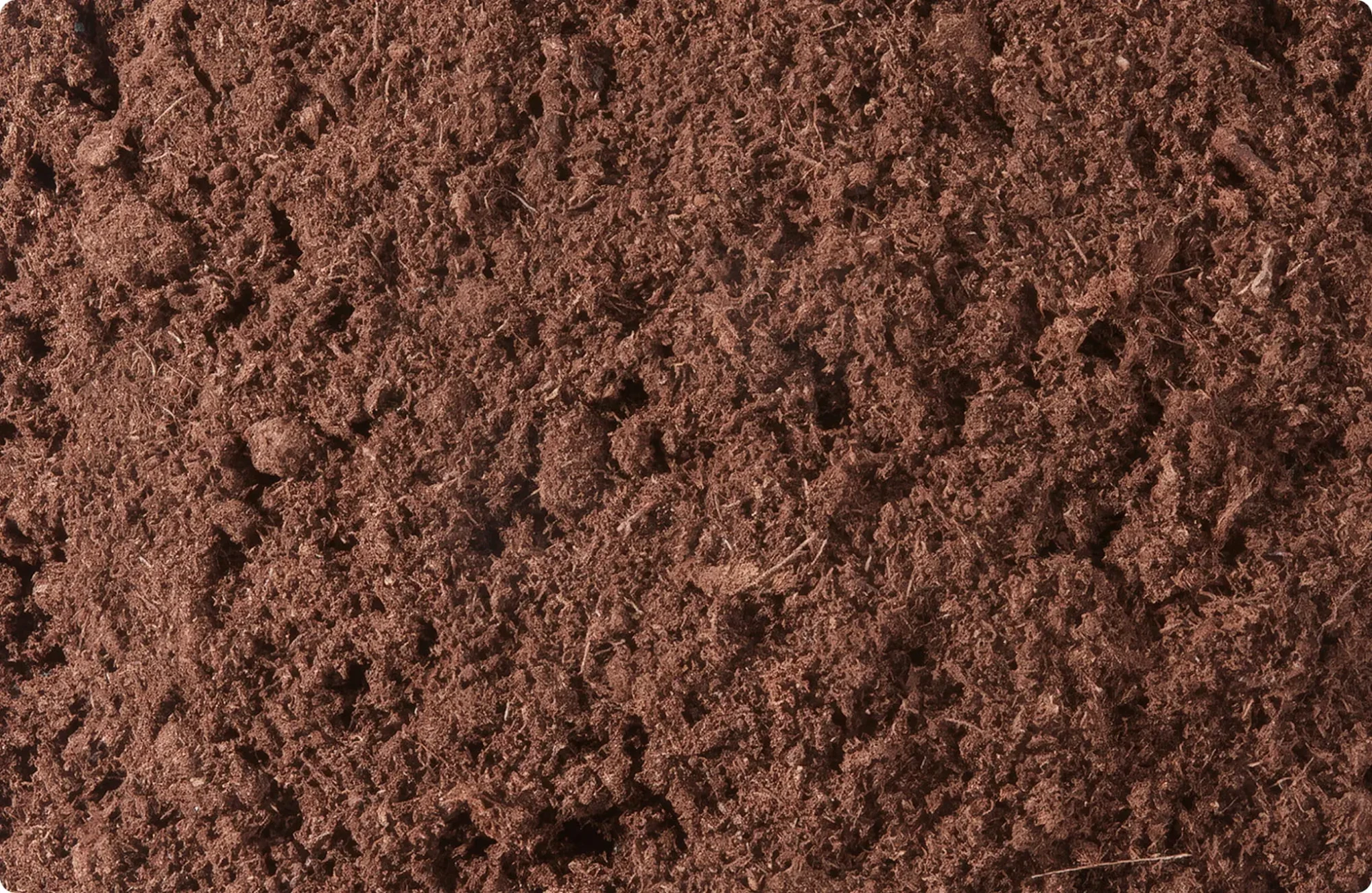 sunshine_peat_moss