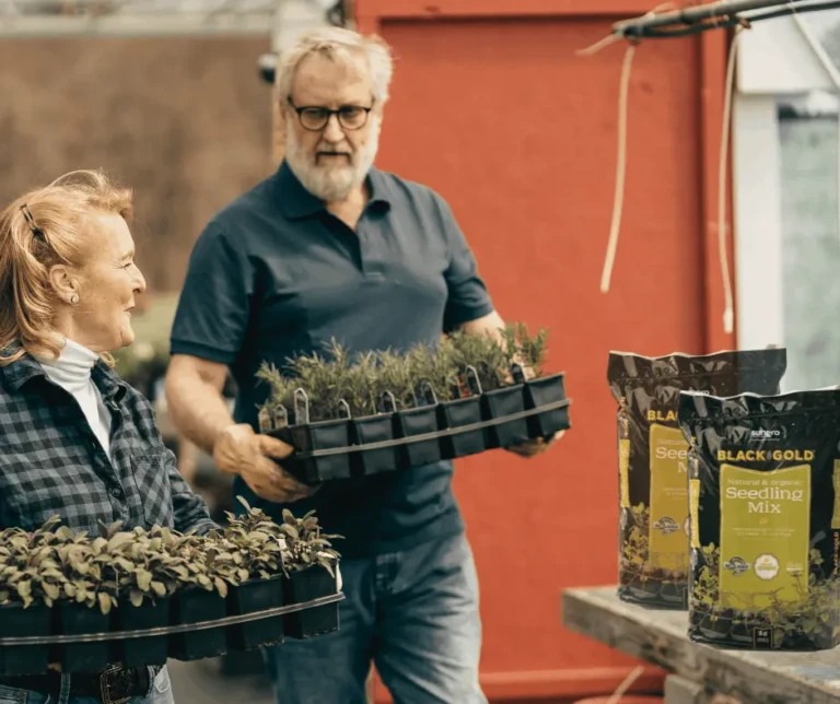 Elderly couple carrying trays of seedlings in a greenhouse next to Black Gold 16Qt Seedling Mix bags for home gardening