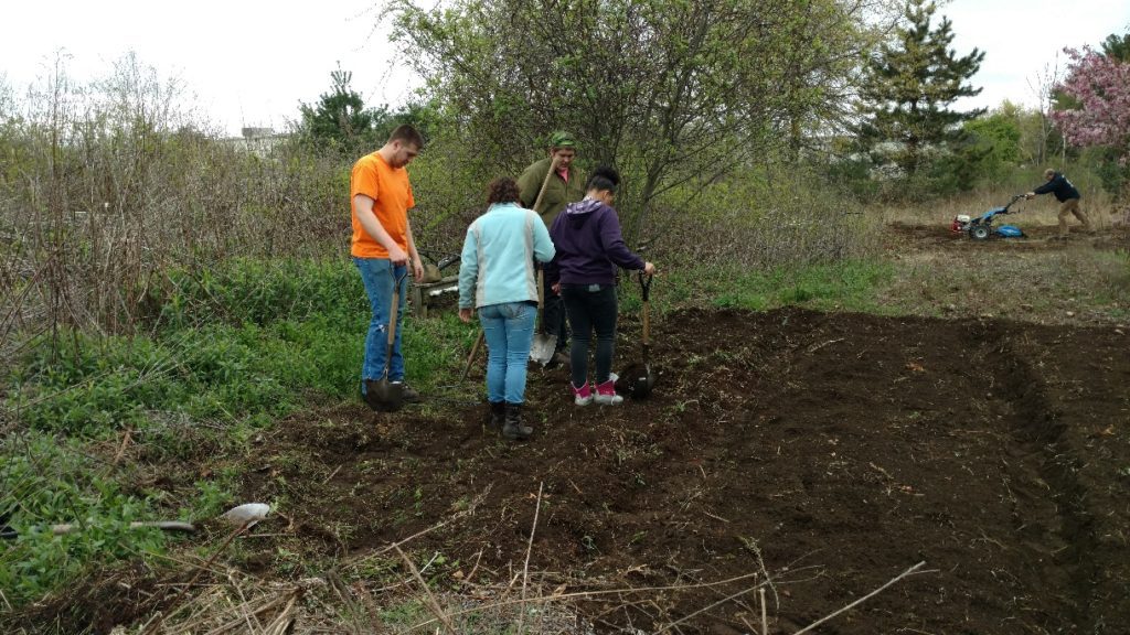 Garden volunteers prepping beds in 2016