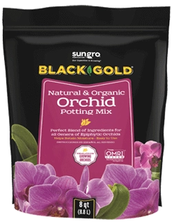 Black-Gold-NO-Orqu&iacute;dea-Macetas-Mezcla
