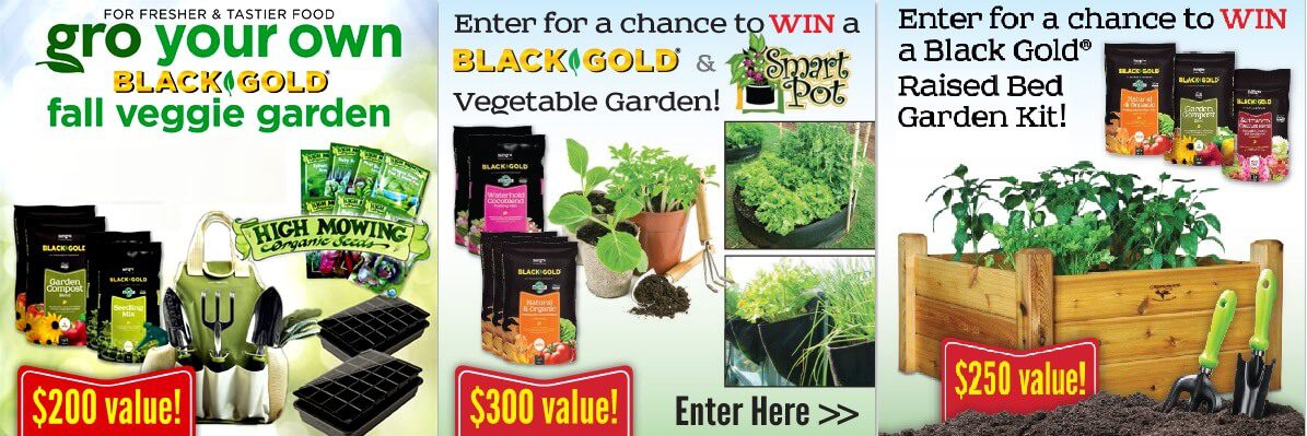 Contests and Sweepstakes