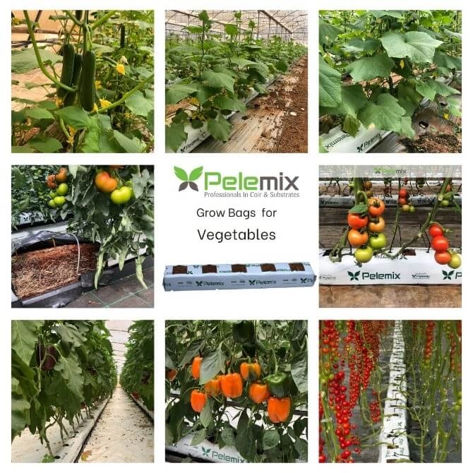 Pelemix® Grow Bags