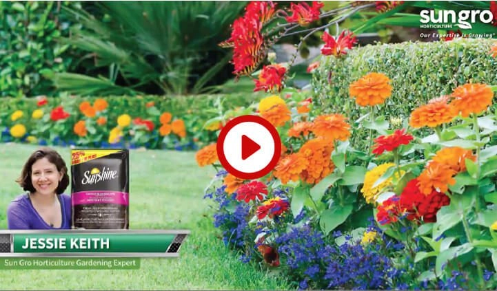 Sunshine Canada Landscape Planting Mix Video Screenshot