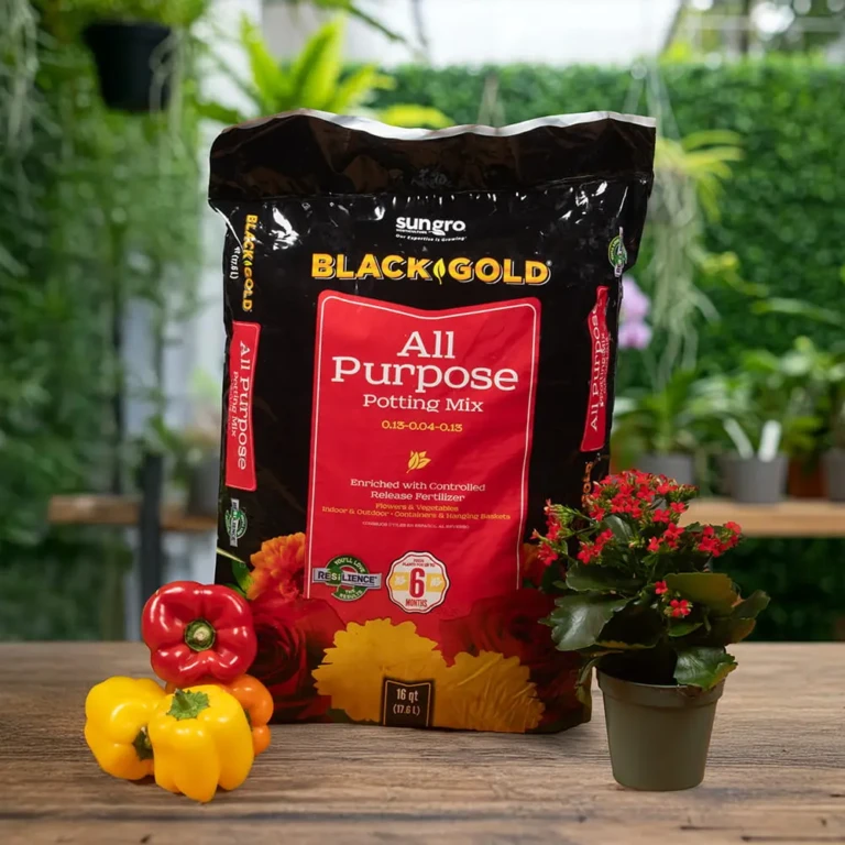 Black Gold All Purpose Potting Mix bag on table beside yellow and red bell peppers and a blooming potted plant outdoors