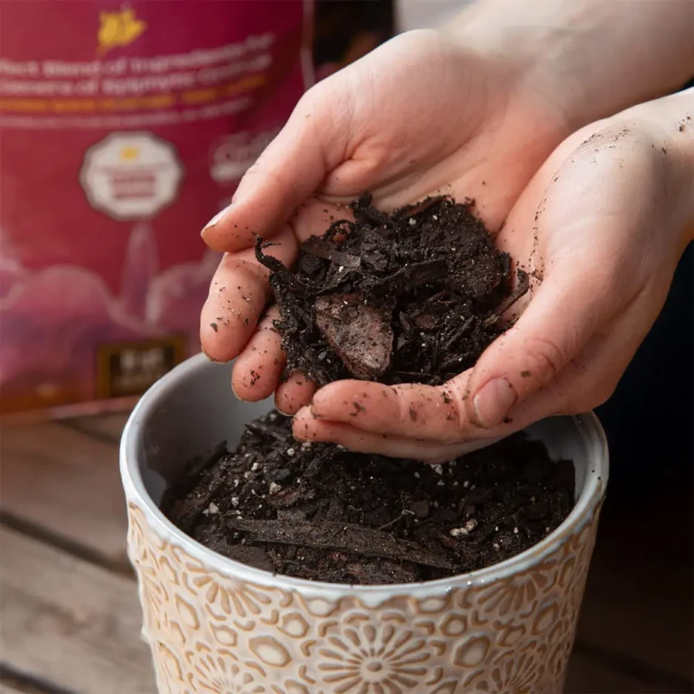 Hands holding dark orchid potting mix over a decorative ceramic pot ready for planting orchids, close-up gardening image