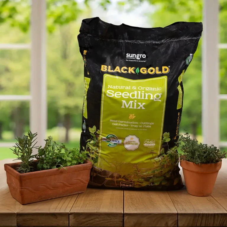 Black Gold Natural & Organic Seedling Mix 1.5 cu ft bag with herb pots on a wooden table in front of bright window garden
