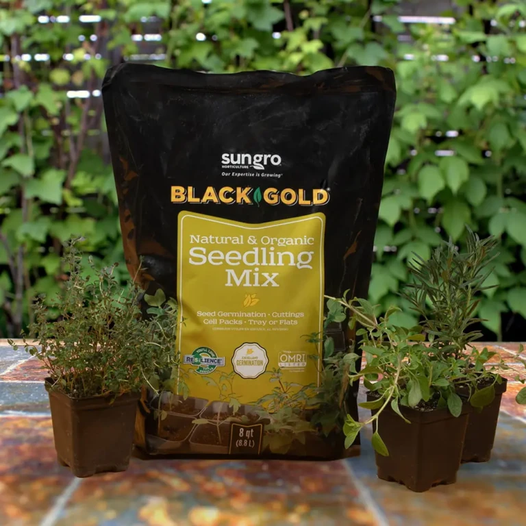 Black Gold Natural & Organic Seedling Mix 8 qt bag with potted seedlings on a patio table in front of green foliage