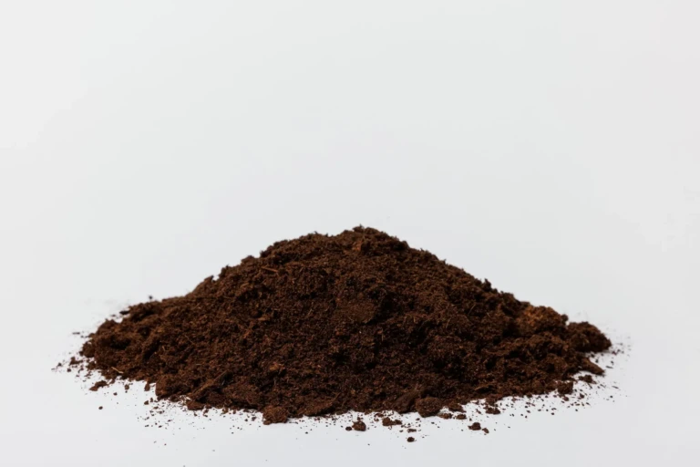Pile of Black Gold NO Canadian sphagnum peat moss on white background, fine dark organic potting medium for gardening