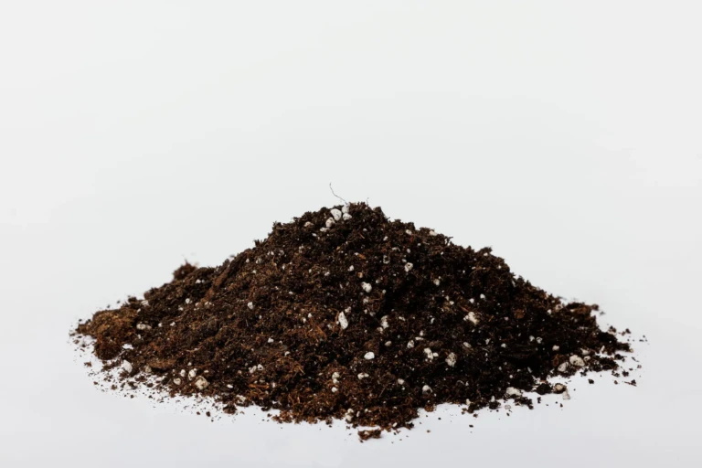 Black Gold NO Potting-min
