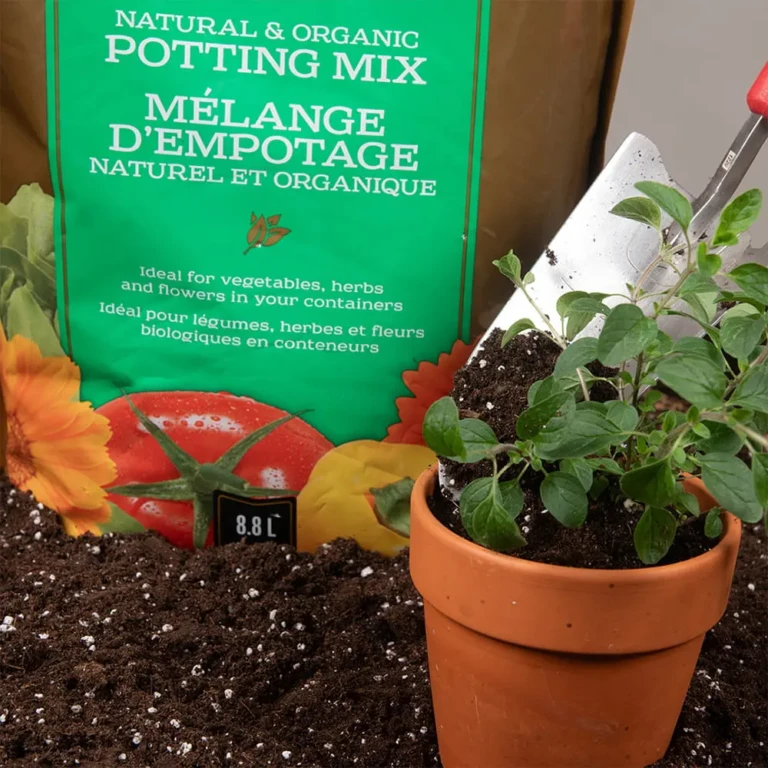 Black-Gold®-NO-Potting-Mix-Potting-min