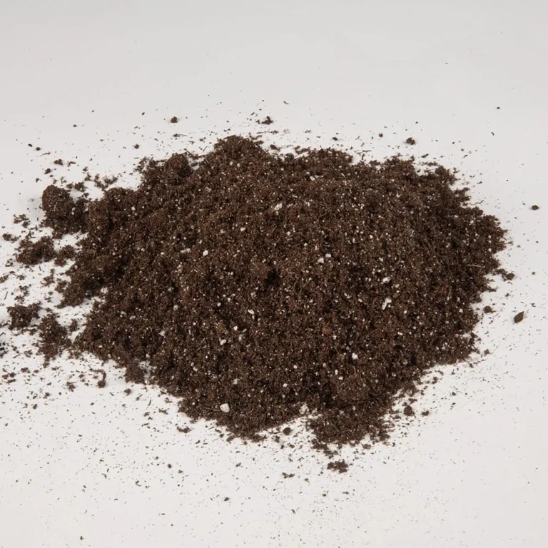 Heap of Black Gold NO Seedling Mix potting soil with fine texture and perlite for seed starting and propagation