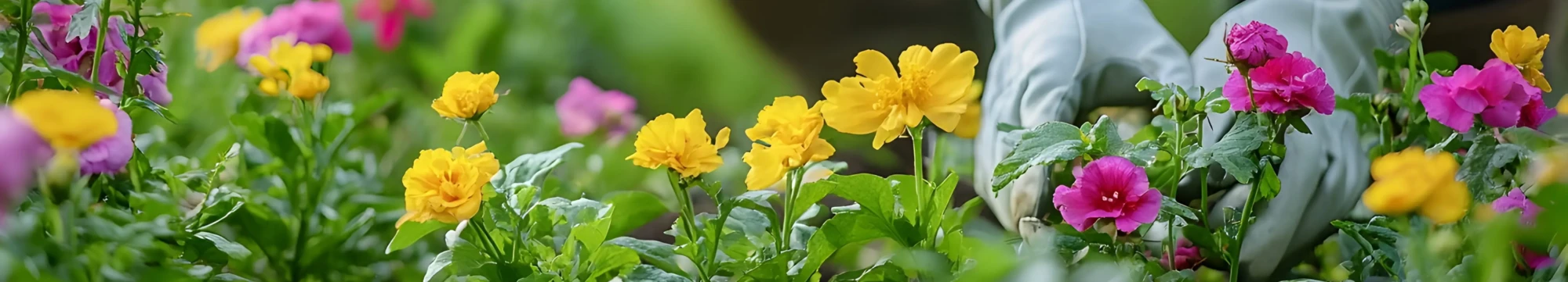 consumer gardening products - hero
