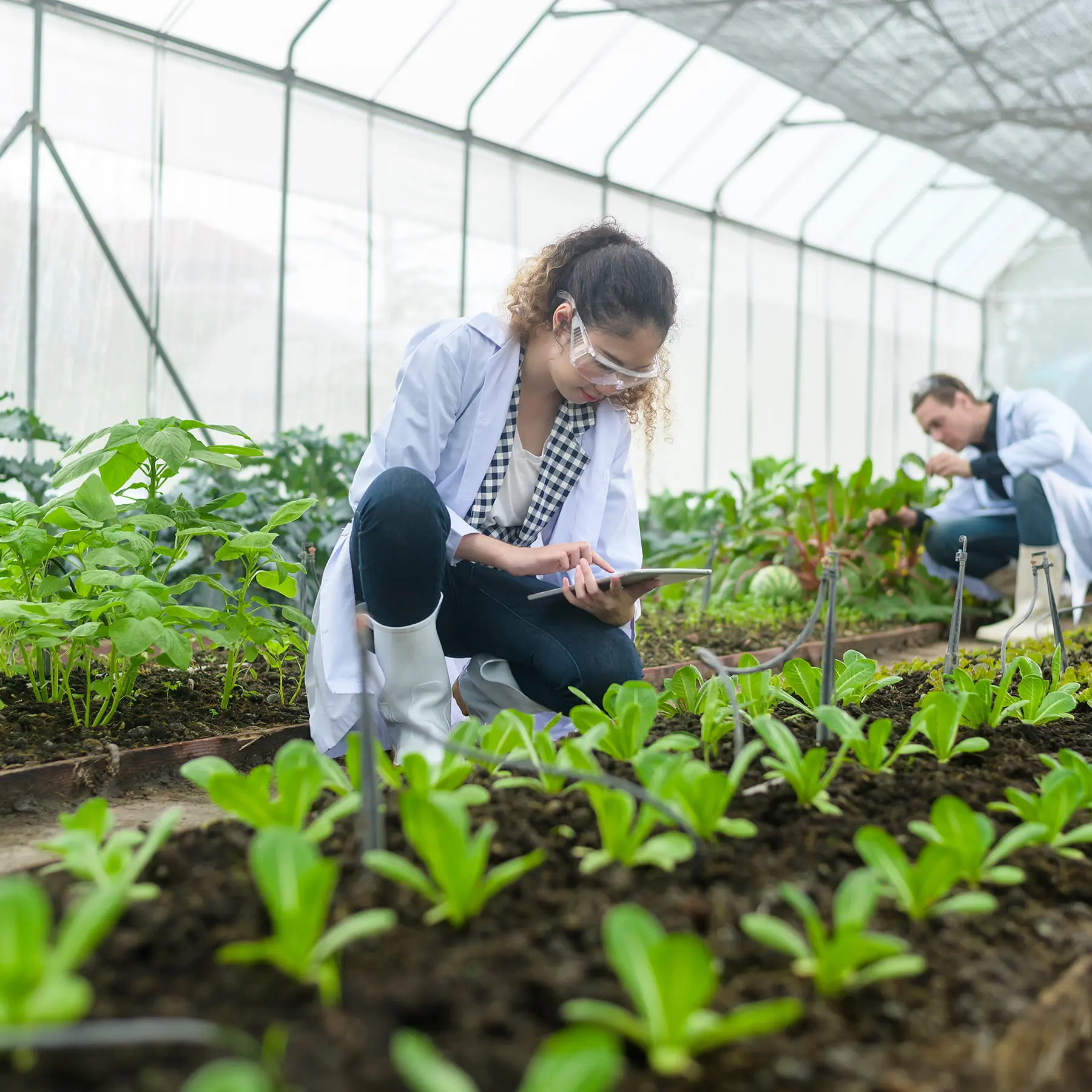 growing trials & resources - learning
