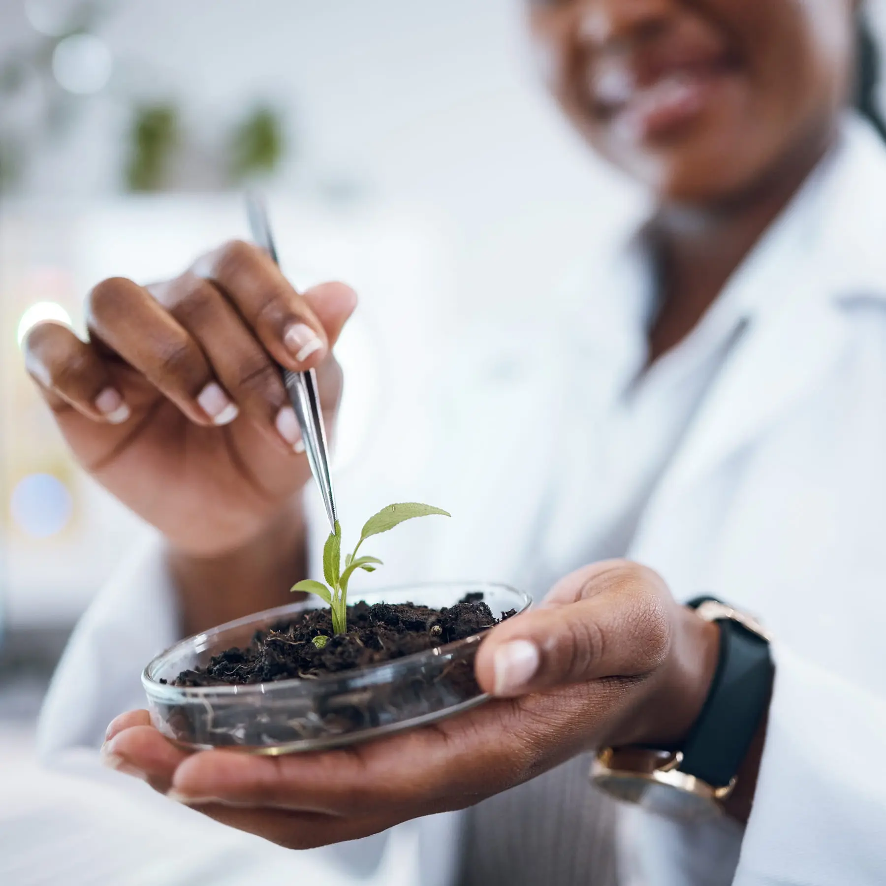 growing trials & resources - sampling