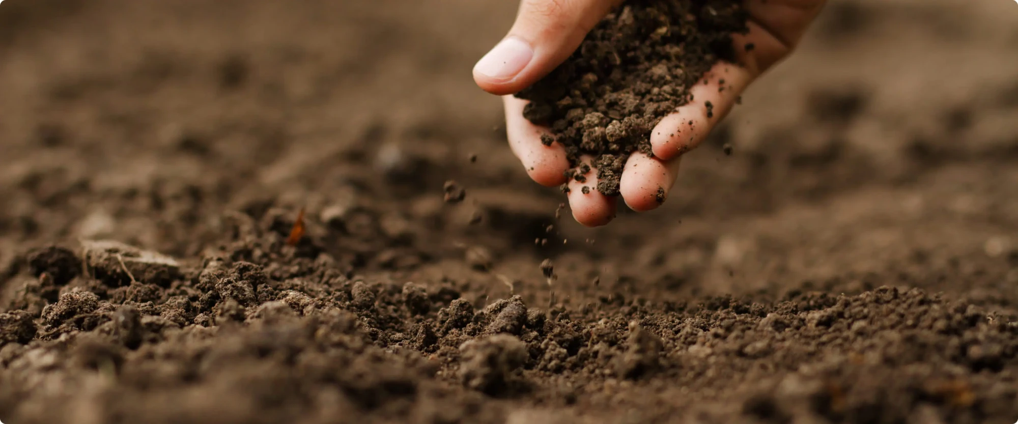 professional growing products - cta