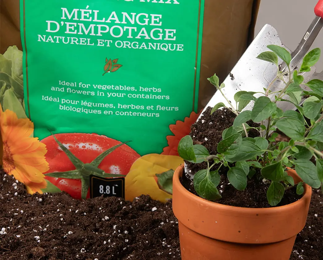 Natural & Organic potting mix bag with green label next to a potted flowering plant.
