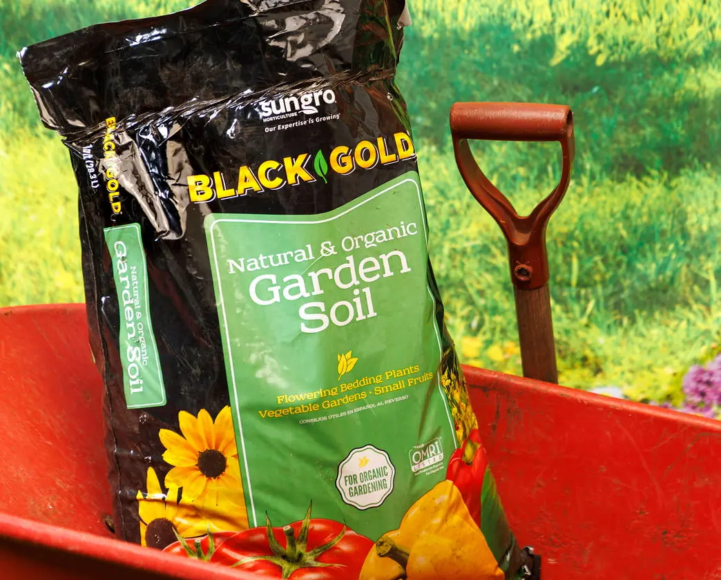 Sungro Black Gold Natural & Organic Garden Soil bag with green label next to a garden shovel and flowers.