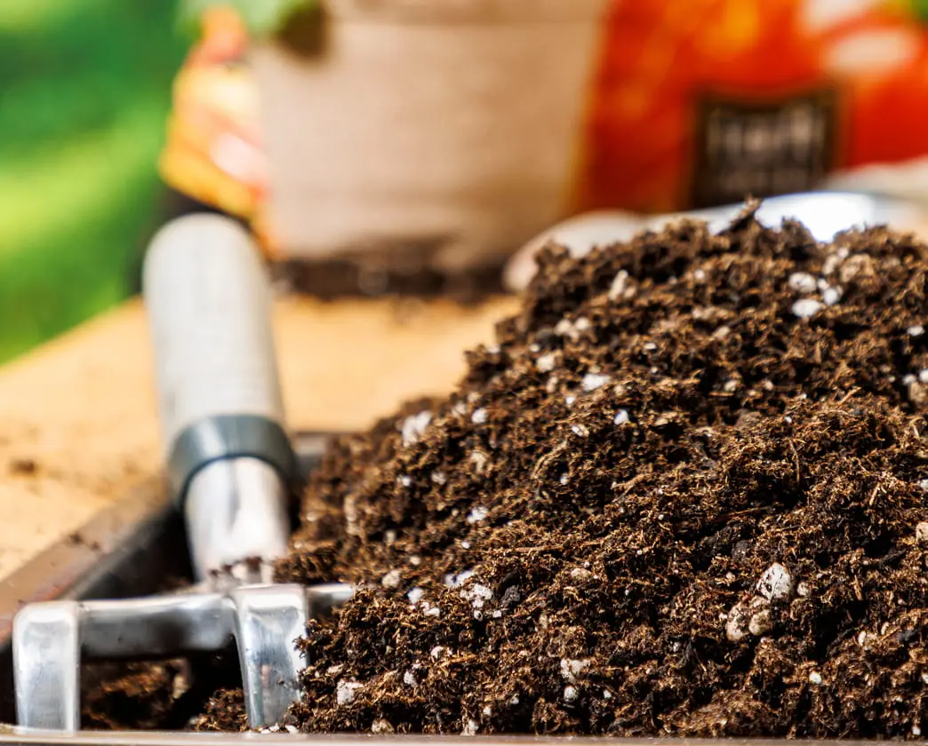 Potting soil being scooped with a garden tool into a container.