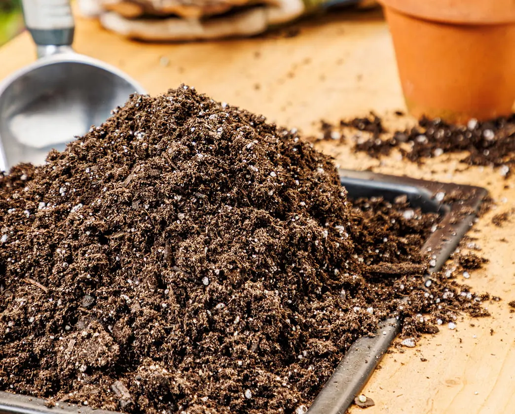 Pile of dark potting soil with gardening tools and terracotta pots on a work surface.