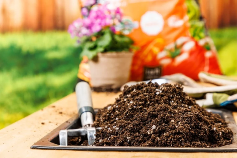 Close-up of potting soil and hand trowel on a workbench with blurred potted flowers and fertilizer bag in backyard