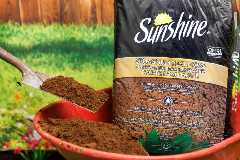 SunGro Lifestyle02272-min