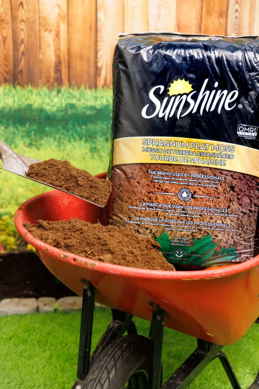 SunGro Lifestyle02274-min
