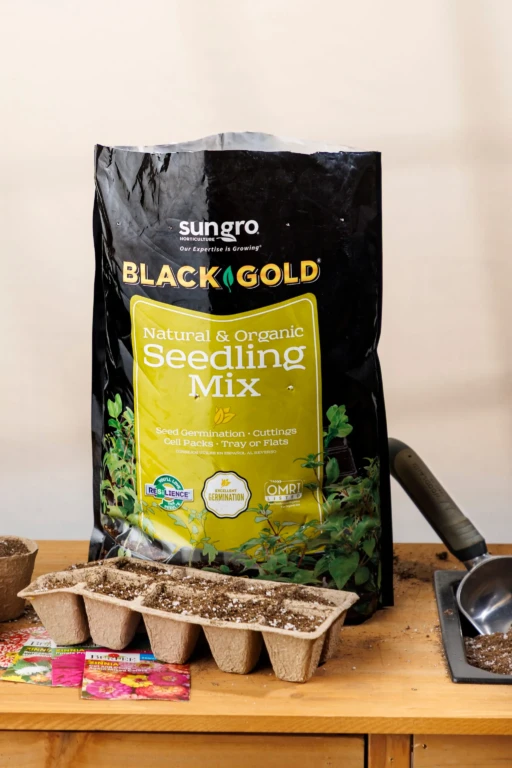 SunGro Black Gold Natural & Organic Seedling Mix bag on a wooden bench with peat seedling trays and seed packets