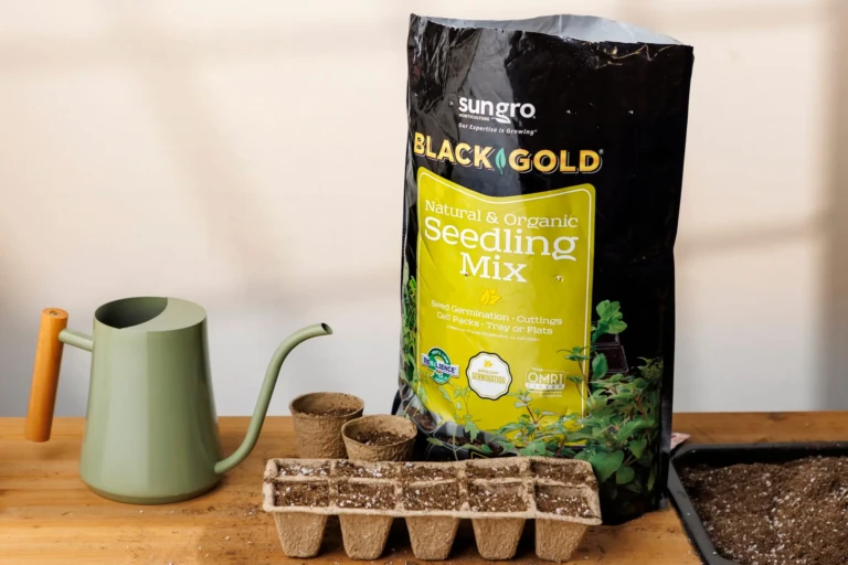 Bag of SunGro Black Gold natural organic Seedling Mix with peat pots tray watering can and seedlings on wooden table