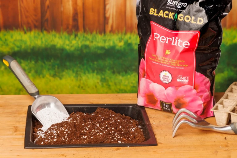 Bag of Black Gold Perlite beside tray of potting mix, scoop and gardening tools for container seed starting
