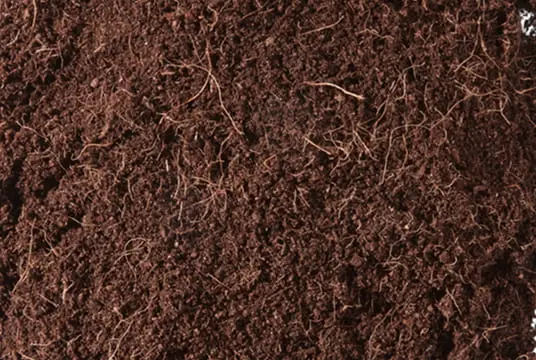 Loose brown coconut coir fiber growing medium for potting mixes and seed starting, showing fibrous texture and fine particles