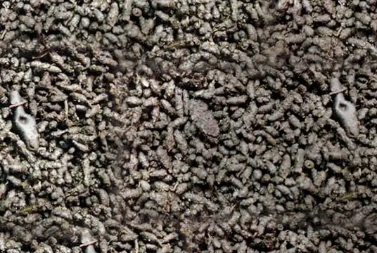 earthworm_castings