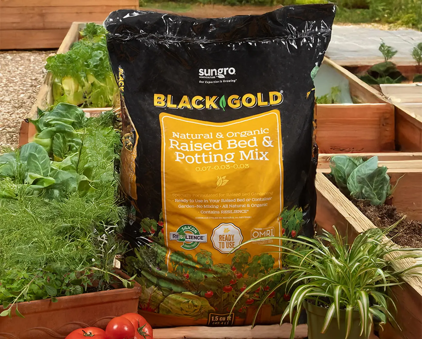 Black Gold Natural & Organic Raised Bed & Potting Mix 1.5 cu ft bag among raised beds with tomatoes and leafy greens