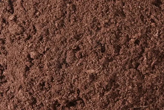 Close-up of loose dark brown sphagnum peat moss substrate for potting mixes and soil amendment, showing fibrous texture